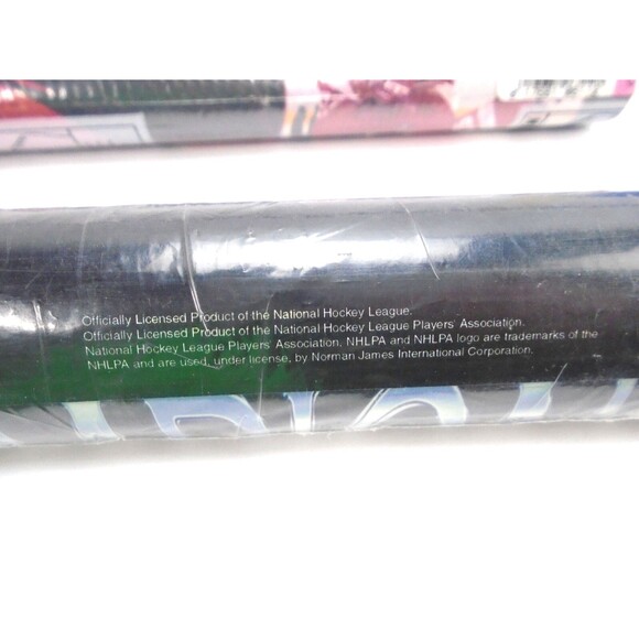 Vintage Detroit Red Wings NHL Original 1997-98 Stanley Cup Champs Posters Lot x2 - Picture 5 of 10